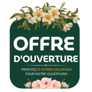 Offres d’Ouverture