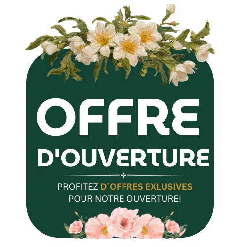 Offres d’Ouverture